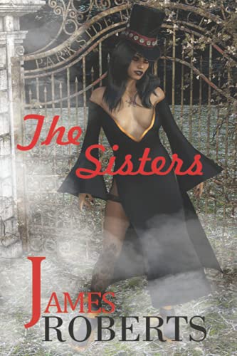 Sisters  Something Is Sinister at That Place [Paperback]