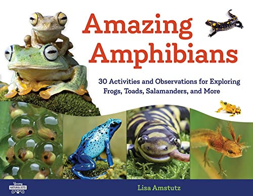 Amazing Amphibians: 30 Activities and Observations for Exploring Frogs, Toads, S [Paperback]