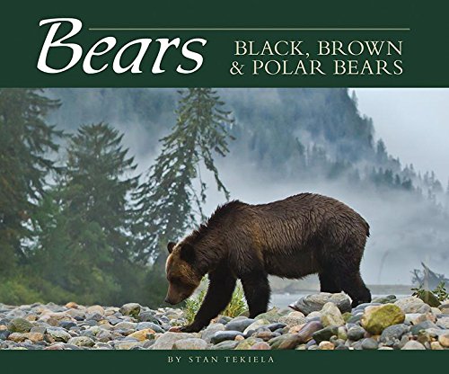 Bears: Black, Brown & Polar Bears [Paperback]