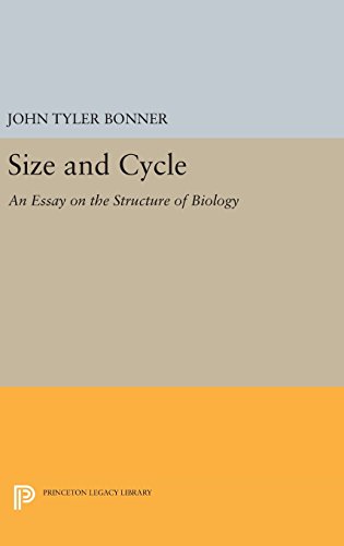 Size and Cycle An Essay on the Structure of Biology [Hardcover]