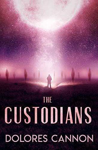 The Custodians: Beyond Abduction [Paperback]