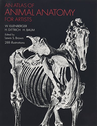 Atlas Of Animal Anatomy For Artists [Paperbac