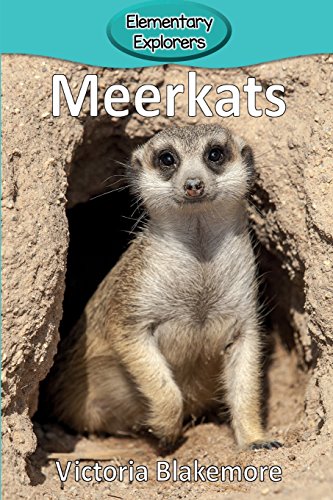 Meerkats (elementary Explorers) [Paperback]