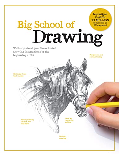 Big School of Drawing: Well-explained, practice-oriented drawing instruction for [Paperback]