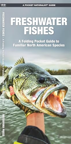 Freshwater Fishes: A Folding Pocket Guide to Familiar North American Species [Pamphlet]