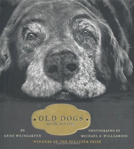 Old Dogs Are the Best Dogs [Hardcover]