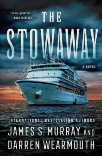 The Stowaway: A Novel [Paperback]