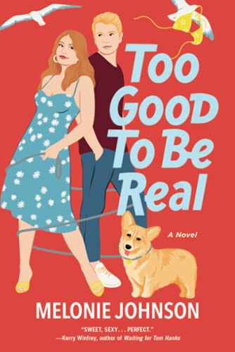 Too Good to Be Real: A Novel [Paperback]