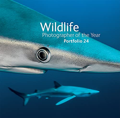 Wildlife Photographer of the Year: Portfolio 24 [Hardcover]