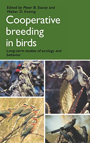 Cooperative Breeding in Birds Long Term Studies of Ecology and Behaviour [Hardcover]