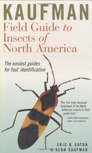 Kaufman Field Guide to Insects of North America [Paperback]