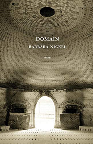 Domain [Paperback]