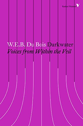 Darkwater: Voices from Within the Veil [Paperback]