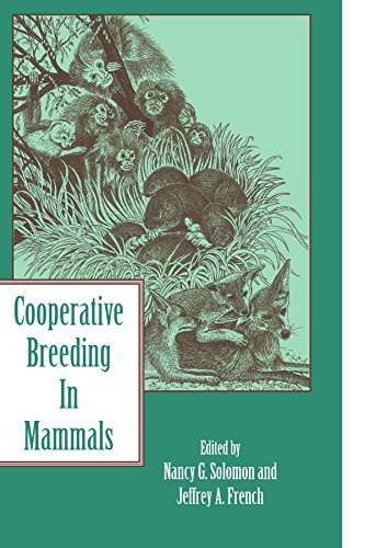 Cooperative Breeding in Mammals [Paperback]