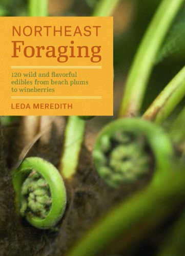 Northeast Foraging: 120 Wild and Flavorful Ed