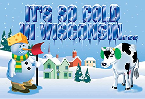 It's So Cold in Wisconsin [Paperback]