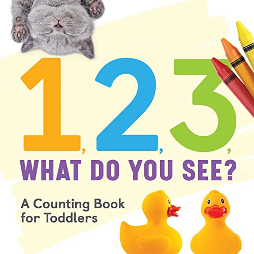 1, 2, 3, What Do You See?: A Counting Book fo