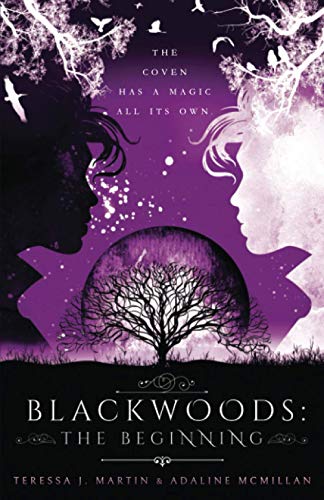 Blackoods  The Beginning [Paperback]