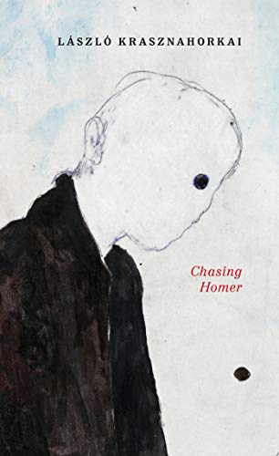 Chasing Homer [Hardcover]