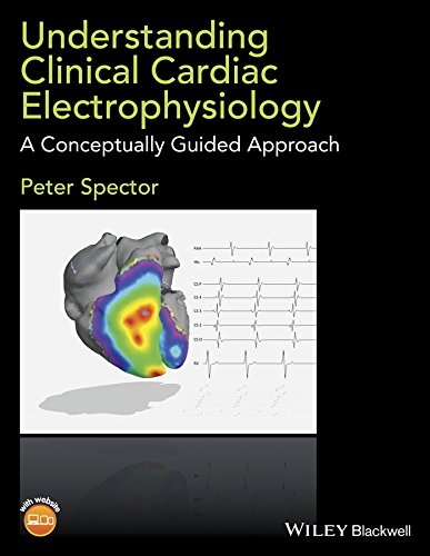 Understanding Clinical Cardiac Electrophysiology: A Conceptually Guided Approach [Paperback]