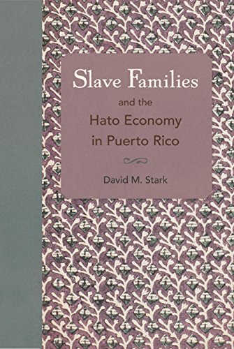 Slave Families And The Hato Economy In Puerto Rico [Hardcover]