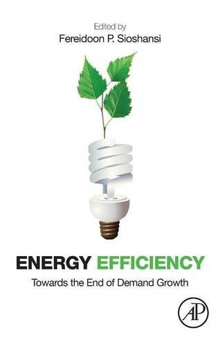 Energy Efficiency Toards the End of Demand Groth [Hardcover]