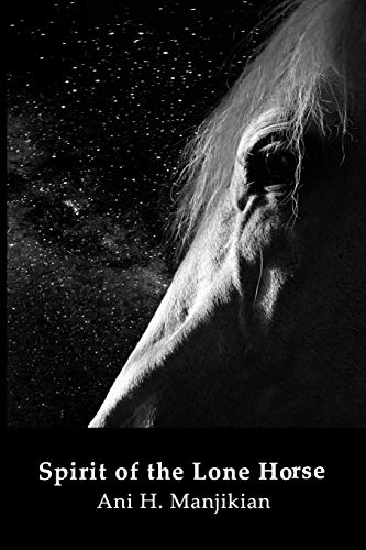 Spirit Of The Lone Horse  (stars Of Heros) [Paperback]