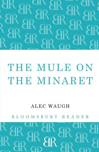 The Mule on the Minaret A Novel about the Middle East [Paperback]