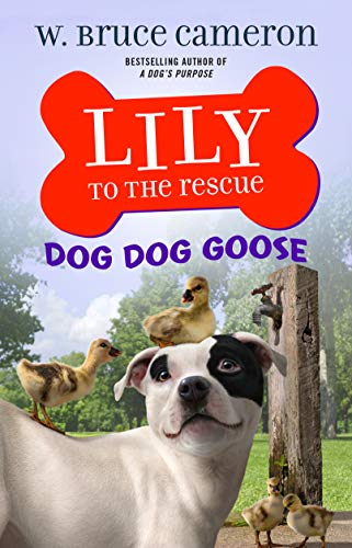 Lily to the Rescue: Dog Dog Goose [Paperback]