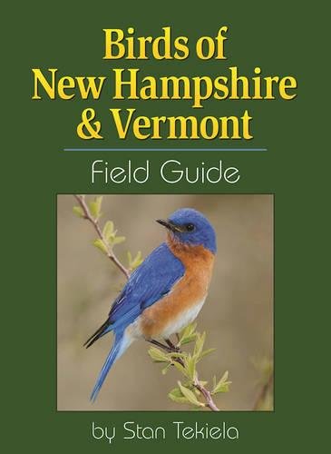 Birds of New Hampshire & Vermont Field Guide [Paperback]