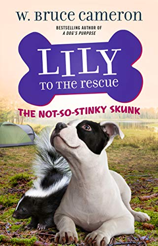 Lily to the Rescue: The Not-So-Stinky Skunk [