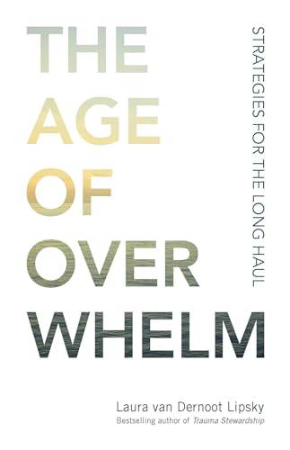 The Age of Overwhelm: Strategies for the Long Haul [Paperback]