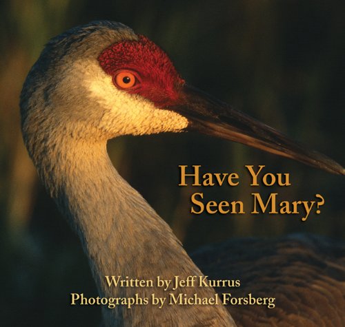 Have You Seen Mary [Paperback]