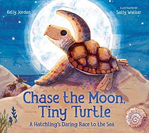 Chase the Moon, Tiny Turtle: A Hatchling's Da