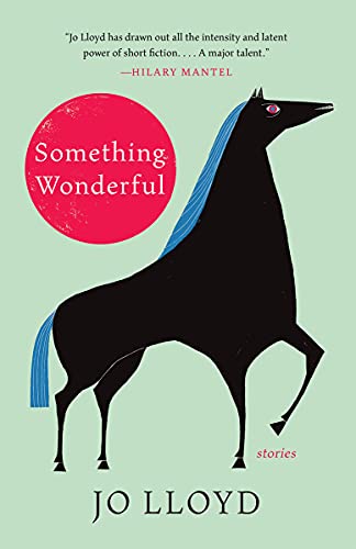 Something Wonderful: Stories [Hardcover]