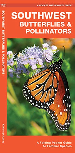 Southwest Butterflies & Pollinators: A Folding Pocket Guide to Familiar Spec [Pamphlet]