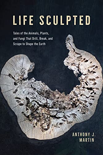 Life Sculpted: Tales of the Animals, Plants, and Fungi That Drill, Break, and Sc [Hardcover]