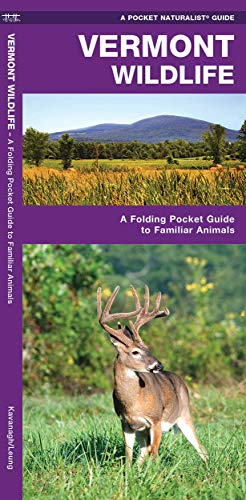 Vermont Wildlife: A Folding Pocket Guide to Familiar Species [Pamphlet]