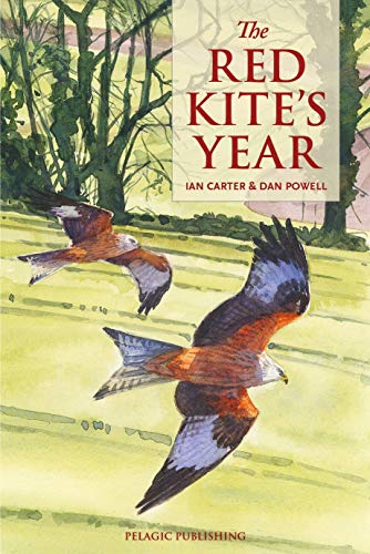 The Red Kite's Year [Paperback]