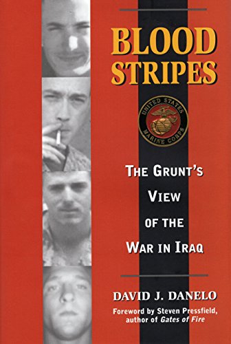 Blood Stripes: The Grunt's View of the War in Iraq [Hardcover]