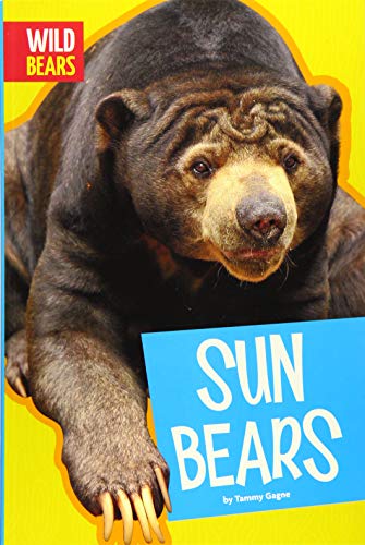 Sun Bears [Paperback]