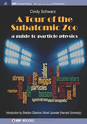 A Tour Of The Subatomic Zoo A Guide To Particle Physics [Paperback]