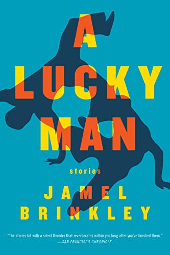 A Lucky Man: Stories [Paperback]