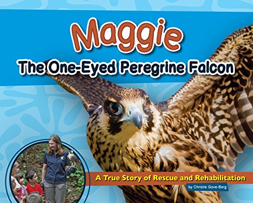 Maggie the One-Eyed Peregrine Falcon: A True Story of Rescue and Rehabilitation [Hardcover]