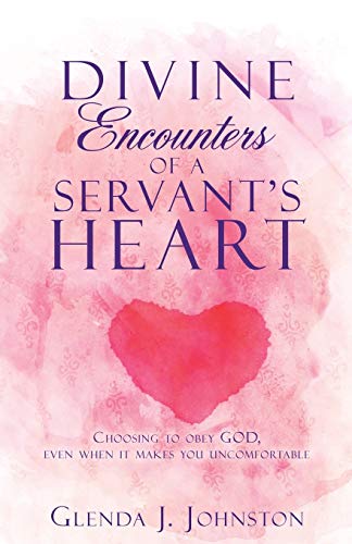 Divine Encounters Of A Servant's Heart [Paperback]