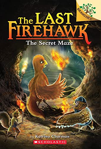 The Secret Maze: A Branches Book (The Last Firehawk #10) [Paperback]