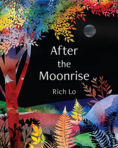 After the Moonrise [Hardcover]