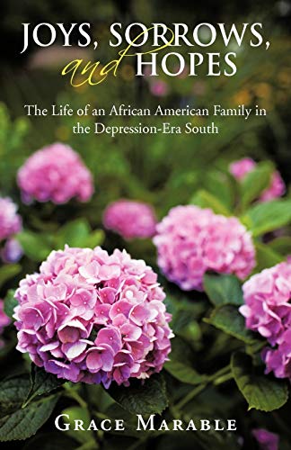 Joys, Sorrows, and Hopes  The Life of an African American Family in the Depress [Paperback]