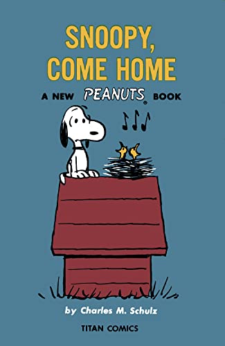 Peanuts: Sunday's Fun Day, Charlie Brown [Paperback]