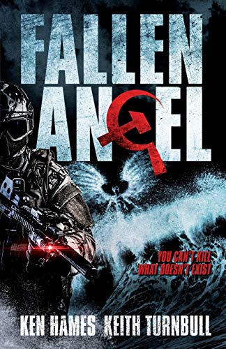 Fallen Angel [Paperback]